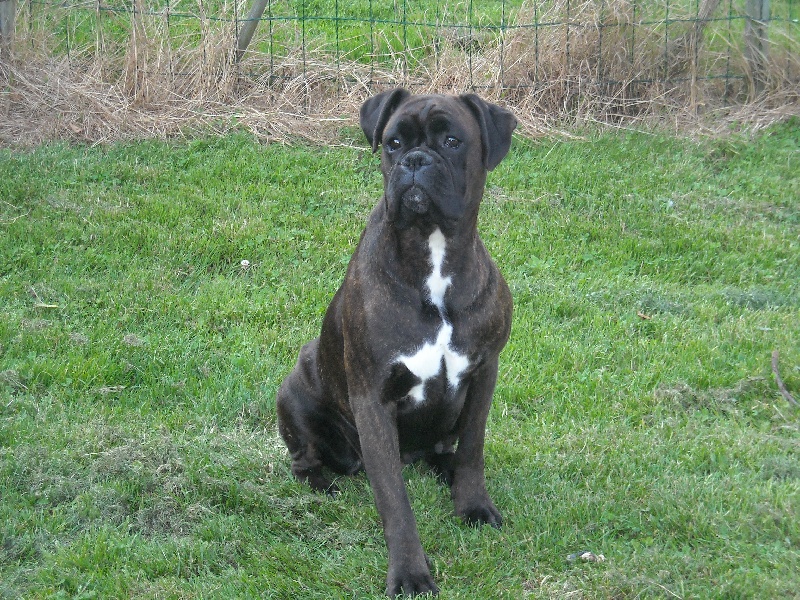 Anoï du Manoir de Vallonne